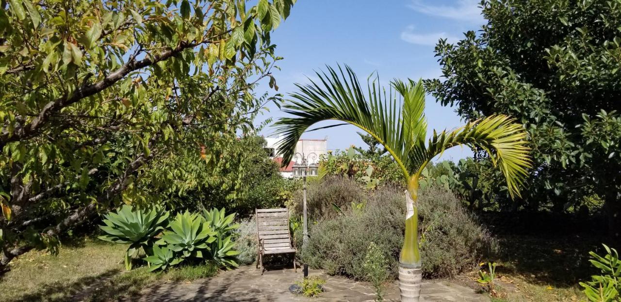 La Casita De La Vega Icod De Los Vinos Exterior foto