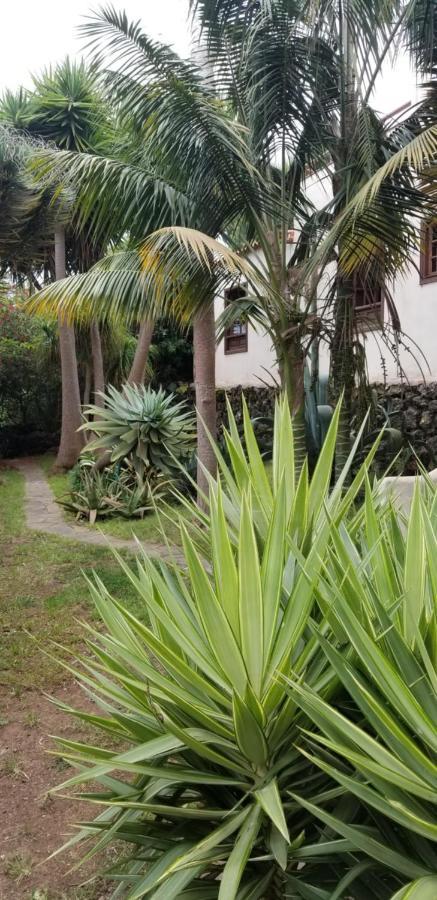 La Casita De La Vega Icod De Los Vinos Exterior foto