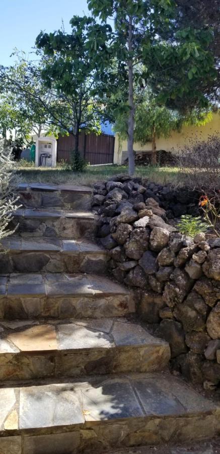 La Casita De La Vega Icod De Los Vinos Exterior foto