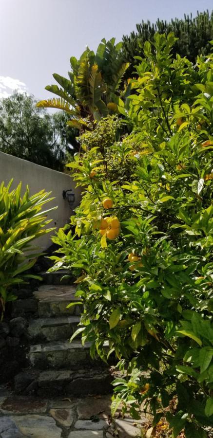 La Casita De La Vega Icod De Los Vinos Exterior foto