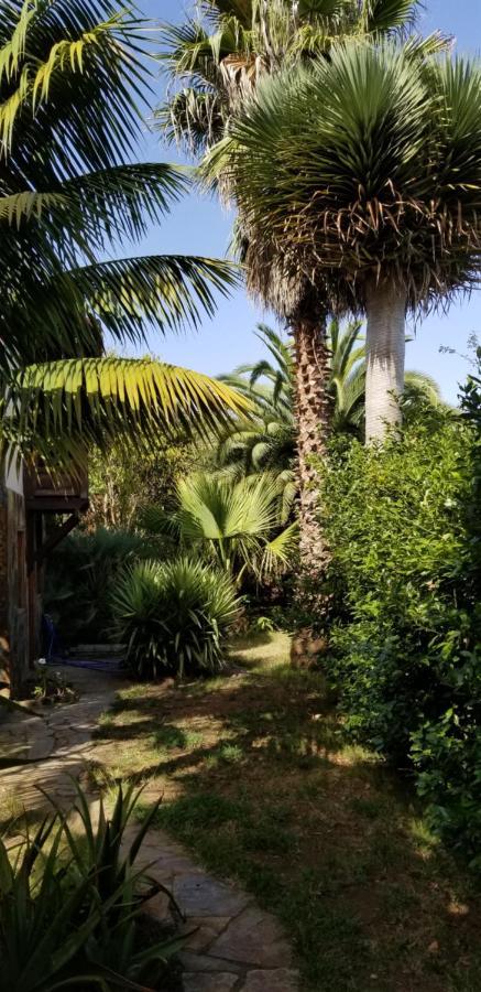 La Casita De La Vega Icod De Los Vinos Exterior foto