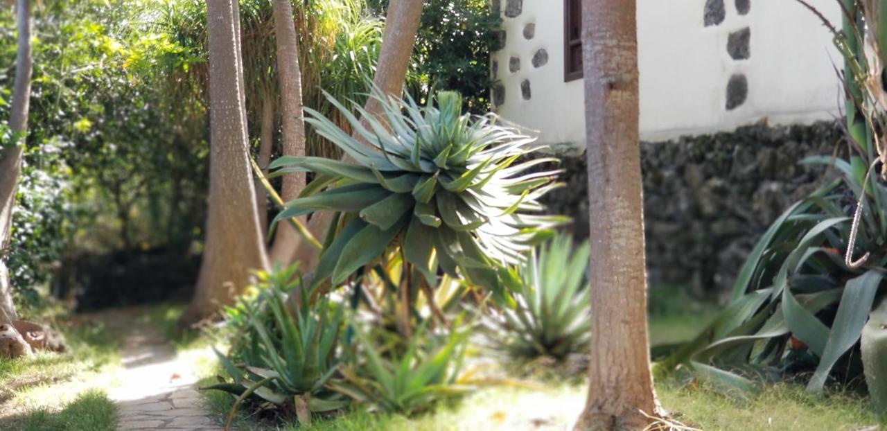 La Casita De La Vega Icod De Los Vinos Exterior foto