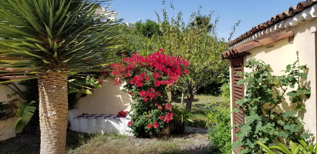 La Casita De La Vega Icod De Los Vinos Exterior foto